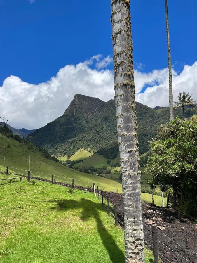 Apartamento Mi Refugio Salento Eksteriør billede